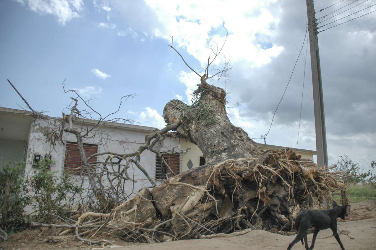 Poblado cubano tras el paso de un huracán Foto: Kaloian Santos