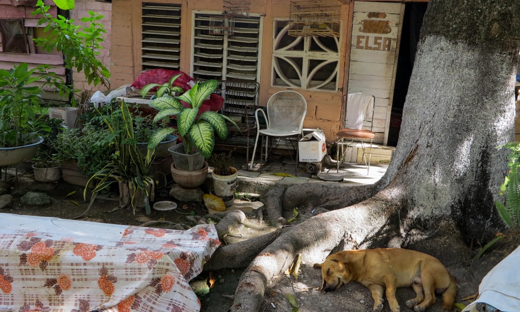 En ese grupito de casas - que apenas se ve - viven ancianos de casi 80 años, un discapacitado mental, un bebé de cinco meses que nació el 7 de mayo (Foto: Elaine Díaz)