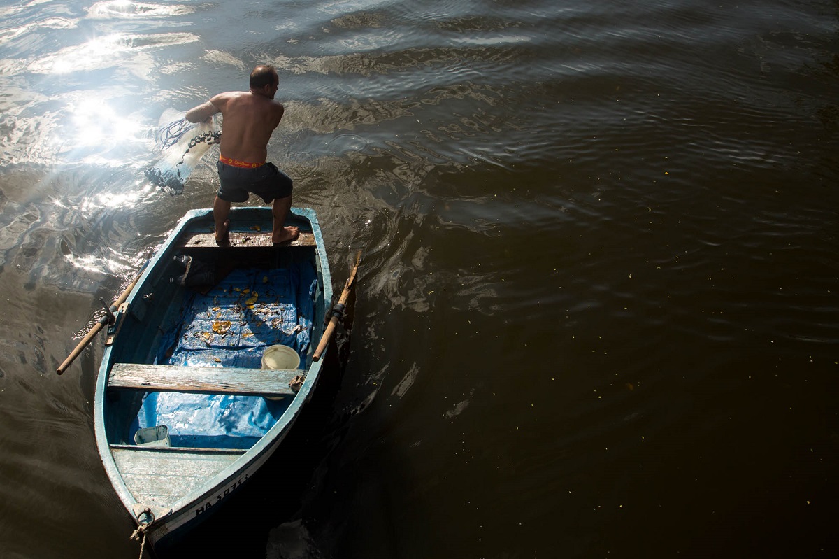 No hay pescado_jorge ricardo_portada