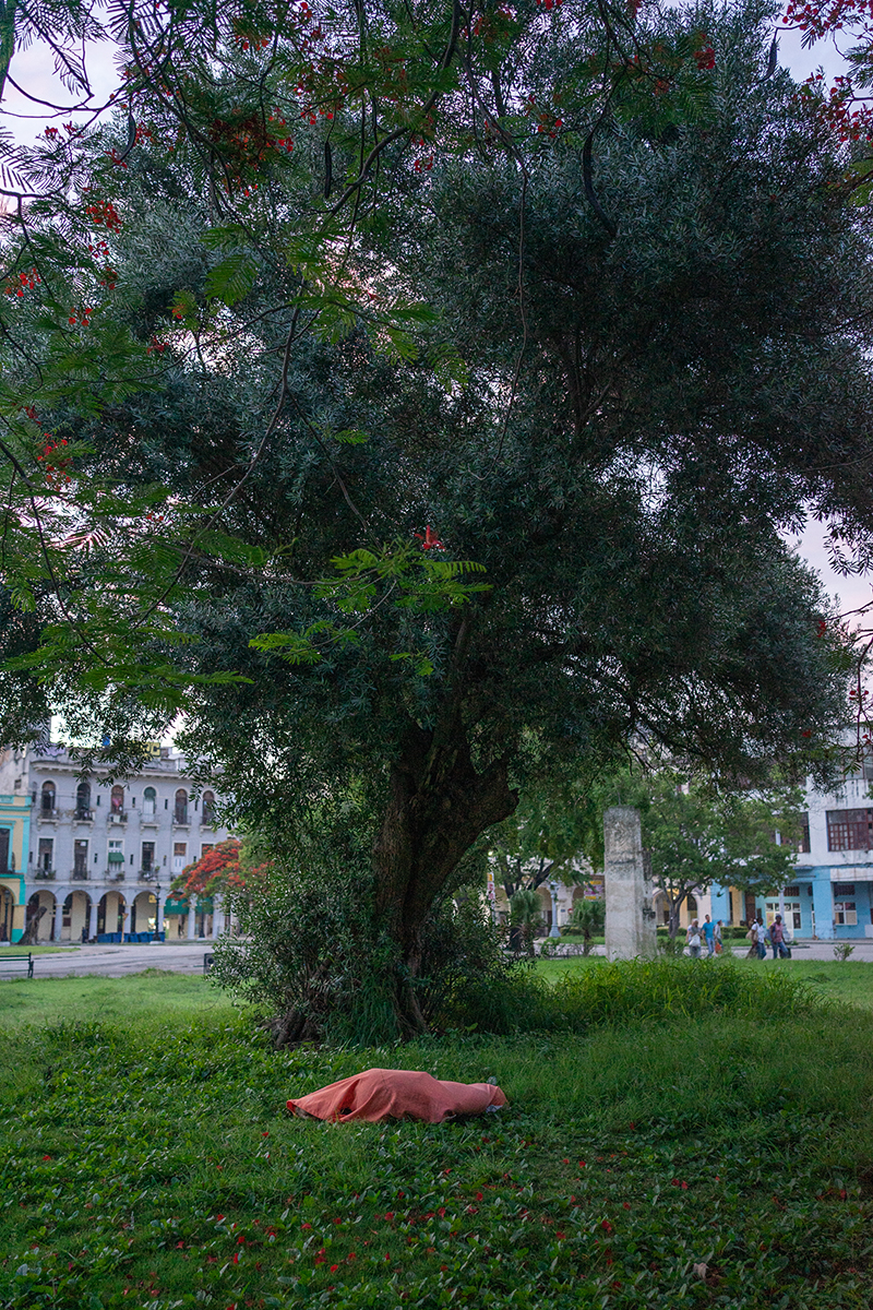 Llegué al parque a las 6:30 a.m. y ella dormía debajo del árbol donde se sienta todos los días. “No sabemos su nombre ni quién es. Parece joven y hasta se ve bonita”, es uno de los comentarios que se escuchan (Foto: Alina Sardiñas).