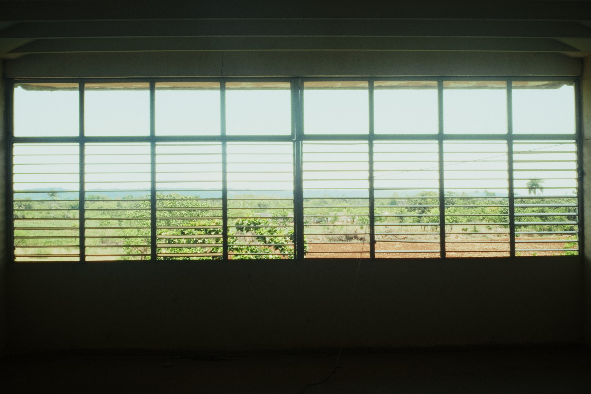 Vista desde una ventana con persianas metálicas hacia los campos que rodean Ceiba 1.