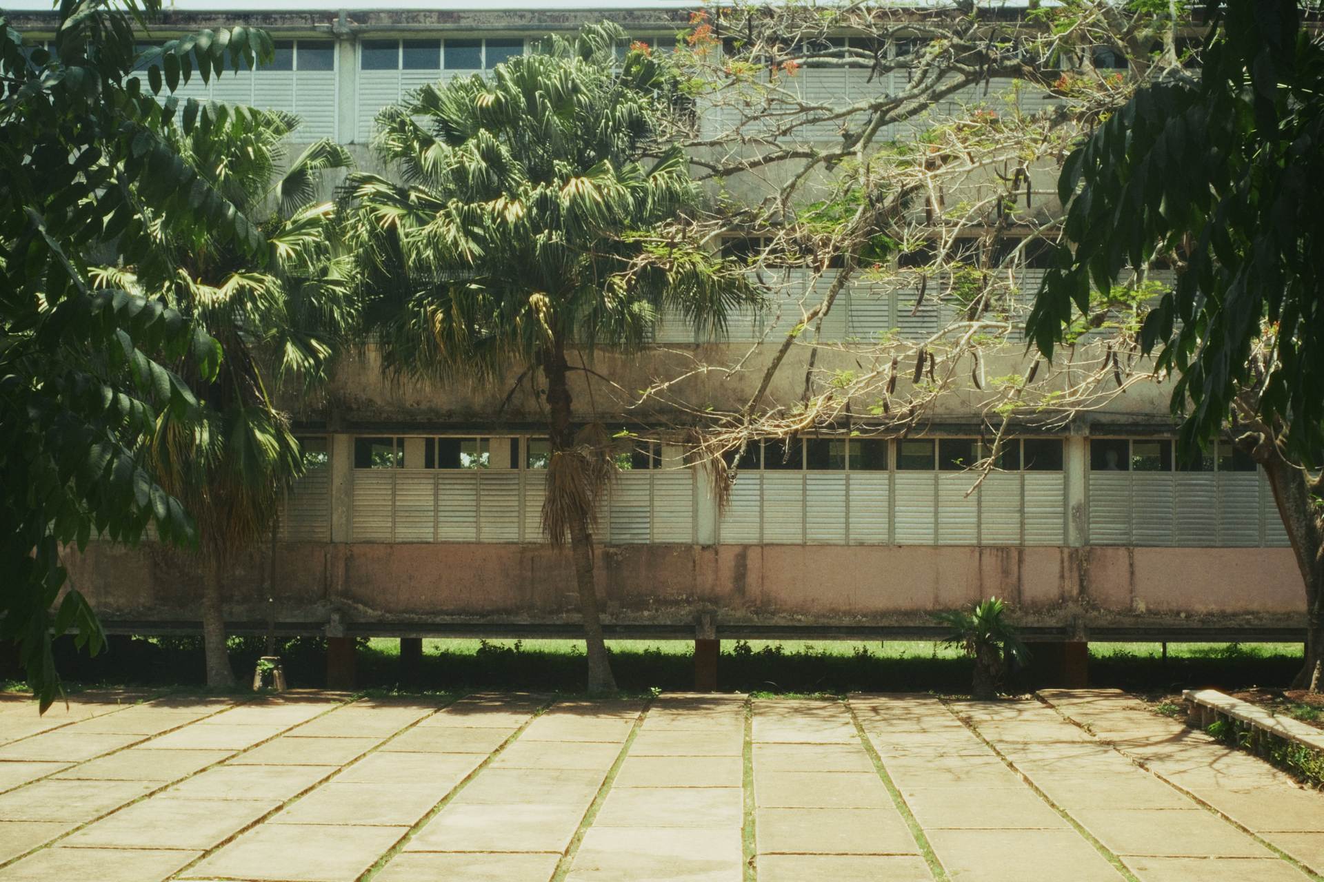 Fachada del edificio de Ceiba 1, rodeada de árboles y vegetación.