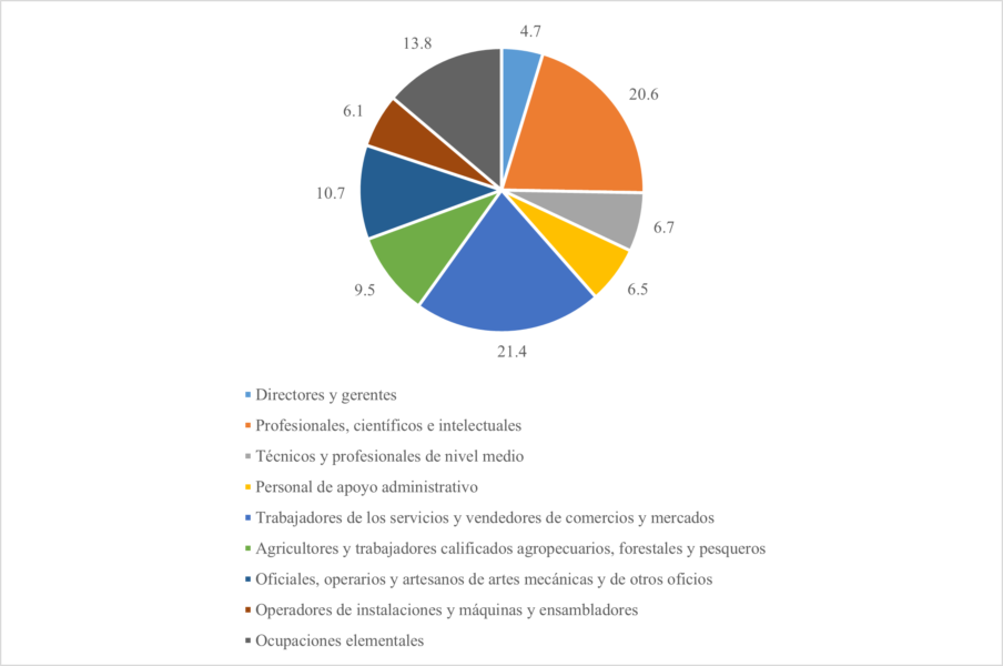 Distribución de los trabajadores en categorías ocupacionales (en porcentaje del total).