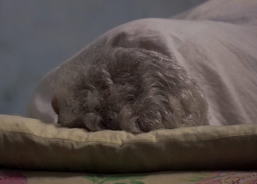 Adulta mayor durmiendo en una almohada. Agotamiento de la madre de Letícia.