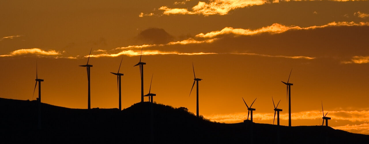 Parque eólico. Foto: Carlo Columba / PNUD.