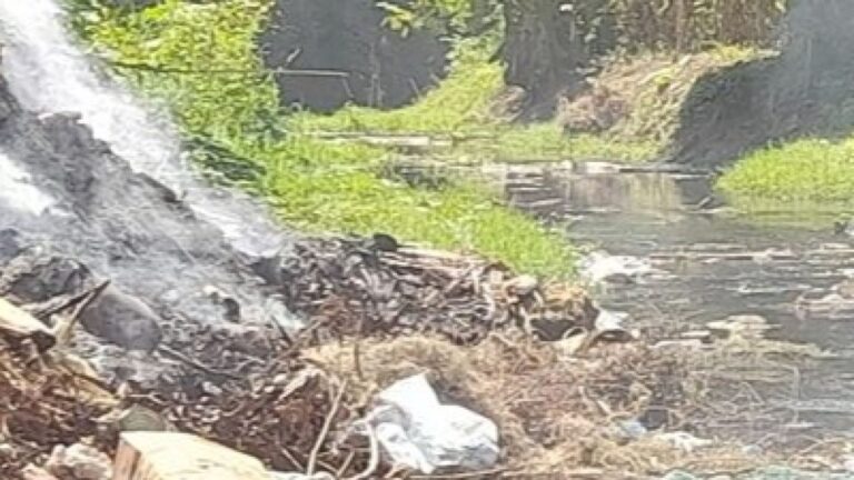 Toda la cagazón viene pal río La contaminada cuenca Gascón