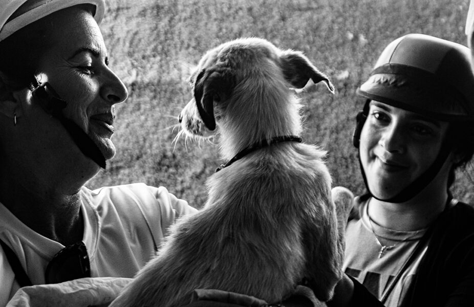 Protectores de animales cubanos