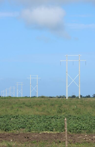 New electricity lines slice through the rural landscape of Herradura.